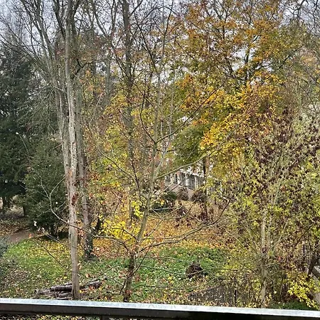 Luxury Studio, Bright 10 Minutes From Cdg, Parc Dasterix